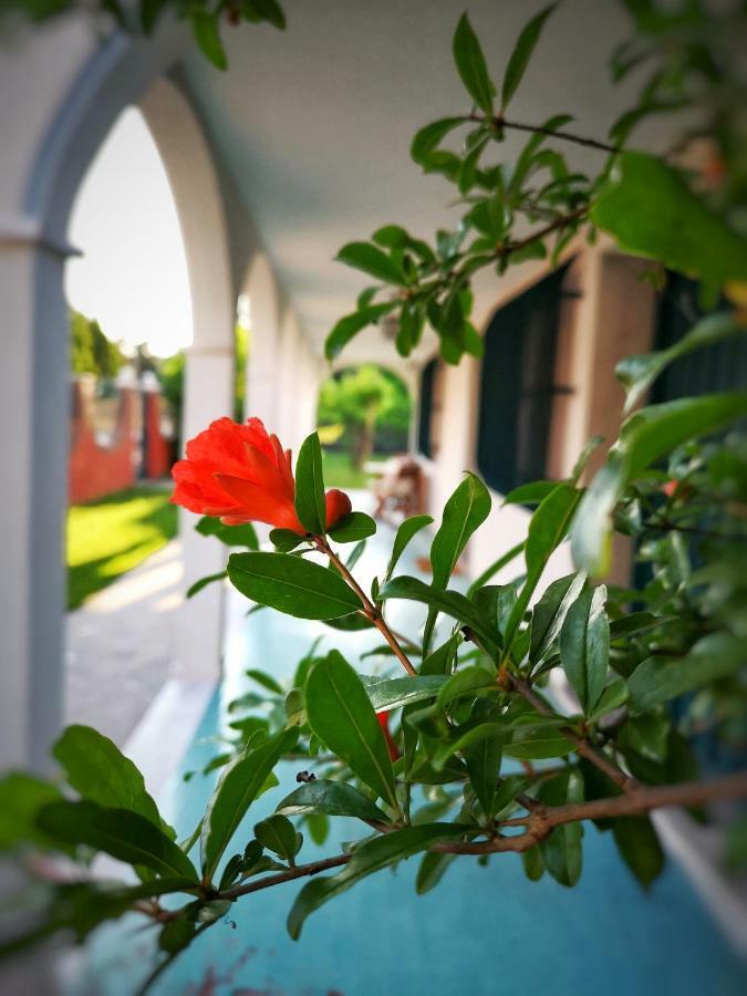 Casa Del Vigneto - New Near Venice - Rooms+Bathroom - Independent Spinea Exterior foto